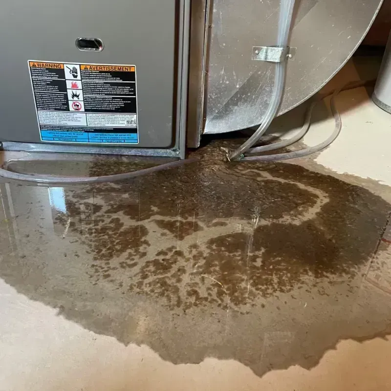 Appliance Leak Cleanup in Pleasant Hill, IA